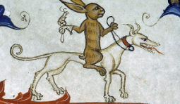 Картинка контента